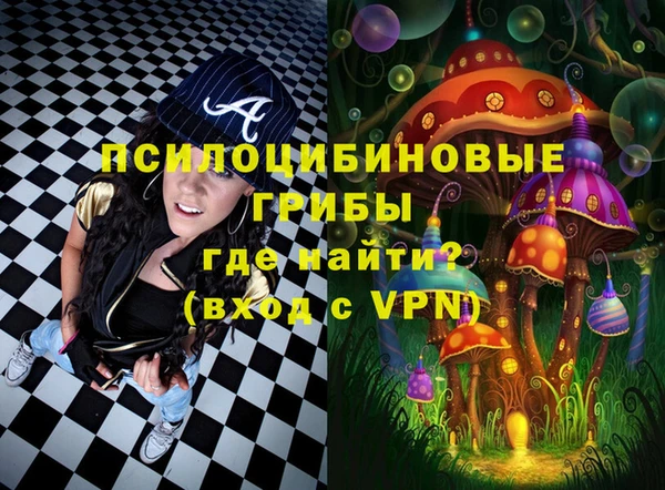 прущий лед Богородицк