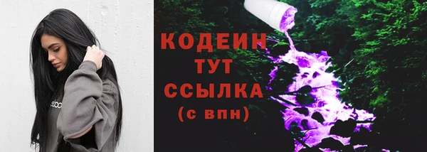 прущий лед Богородицк