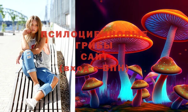 Альфа ПВП Бронницы
