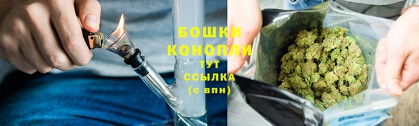 прущий лед Богородицк