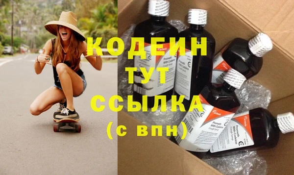 хмурый Бородино