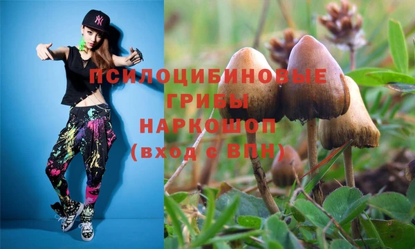 прущие крисы Богородск