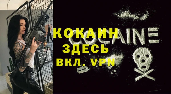 хмурый Бородино