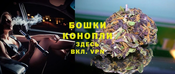 хмурый Бородино