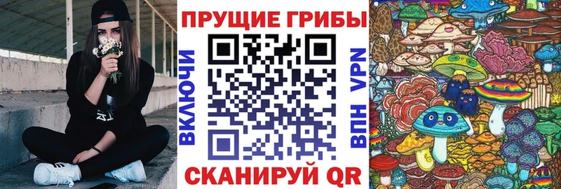 kraken как войти  Валуйки  Галлюциногенные грибы прущие грибы 